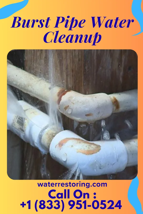 Burst Pipe Water Cleanup in Saddle River, NJ