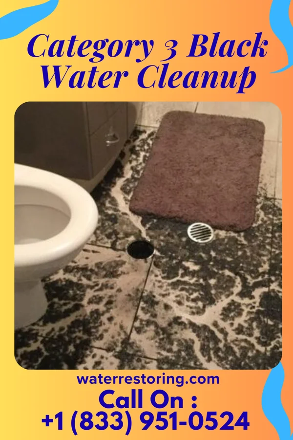 Category 3 Black Water Cleanup in Saddle River, NJ