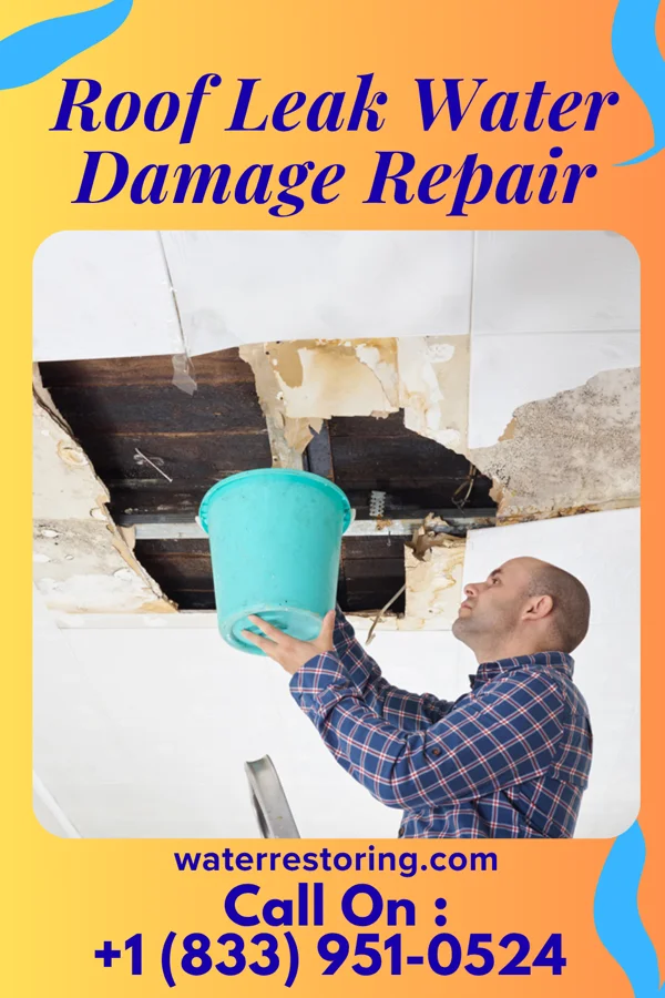 Roof Leak Water Damage Repair in Saddle River, NJ