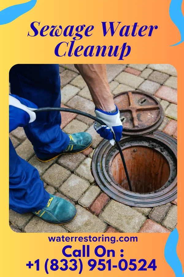 Sewage Water Cleanup in Saddle River, NJ